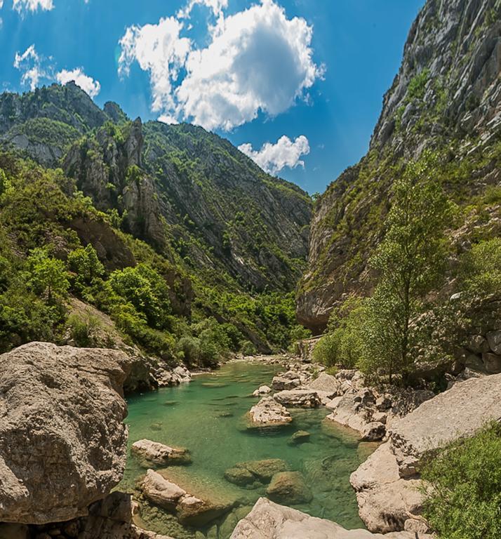 Villa Lorraine Vence Dış mekan fotoğraf